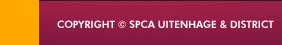 SPCA | Cats | Dogs | Pets | Animal Welfare | Animal Shelter | Uitenhage | Despatch | Port Elizabeth | South Africa