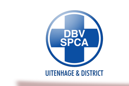 SPCA | Cats | Dogs | Pets | Animal Welfare | Animal Shelter | Uitenhage | Despatch | Port Elizabeth | South Africa