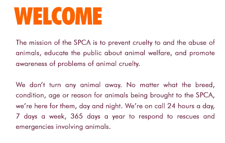SPCA | Cats | Dogs | Pets | Animal Welfare | Animal Shelter | Uitenhage | Despatch | Port Elizabeth | South Africa