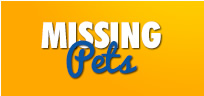 Click here for more information on how to locate your missing pet