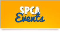 Click here to view our upcoming and past events
